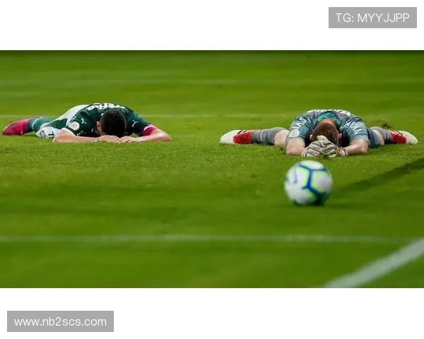 外国飞机失事导致足球明星不幸遇难引发全球哀悼与关注